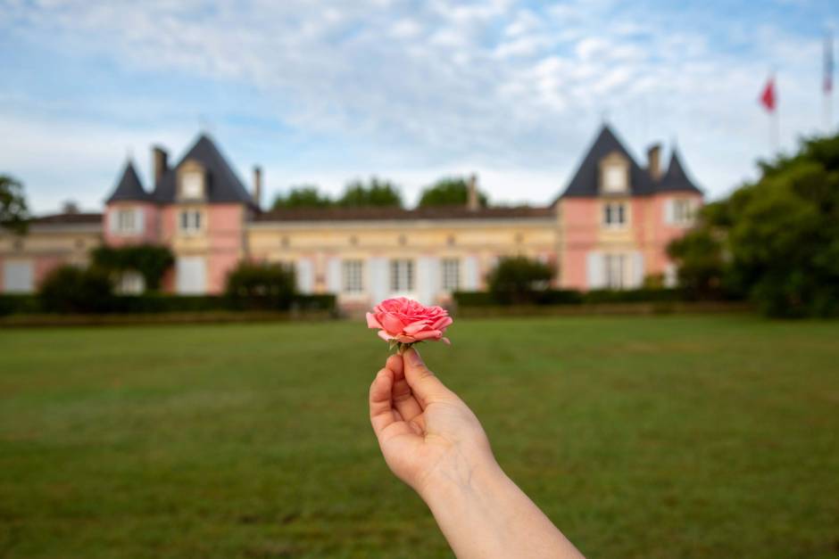 写真: ■期間限定■　夏のおすすめワイン　Château Loudenne Blanc 2018